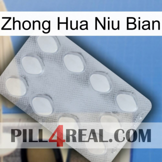 Zhong Hua Niu Bian 16